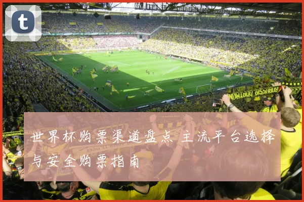 世界杯购票渠道盘点 主流平台选择与安全购票指南