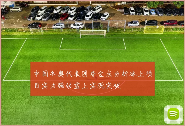 中国冬奥代表团夺金点分析冰上项目实力强劲雪上实现突破