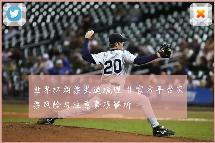 世界杯购票渠道梳理 非官方平台买票风险与注意事项解析